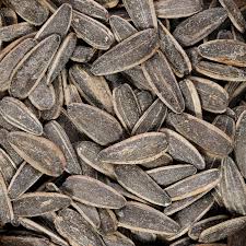 تخمه آفتابگردان کانادایی S300